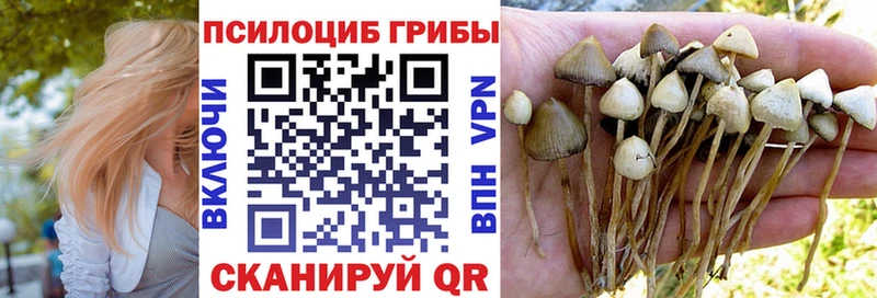 Купить закладки  Вихоревка  Галлюциногенные грибы MAGIC MUSHROOMS 